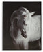 Archerwick Wall Art - Dinettes Plus Furniture