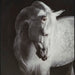 Archerwick Wall Art - Dinettes Plus Furniture