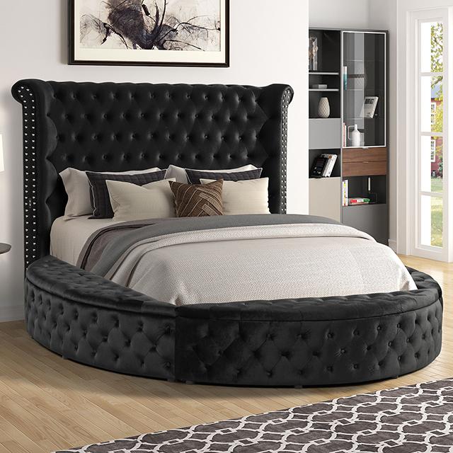 SANSOM E.King & Queen Bed, Black, Blue, & Grey