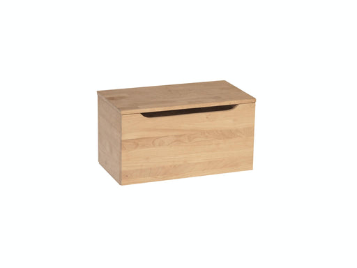 Juvenile 22'' Storage Chest / Toy Chest image