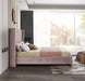 Barolo Pink Velvet Queen Bed - Dinettes Plus Furniture
