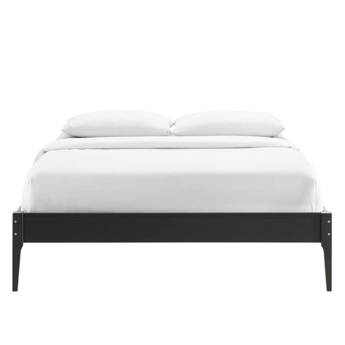 June Twin Wood Platform Bed Frame